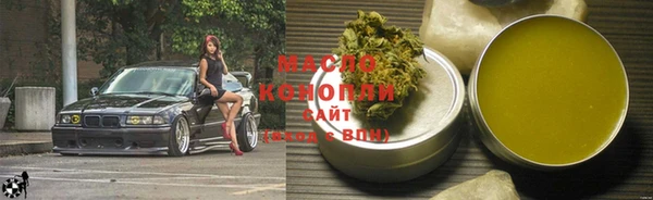 тгк Бородино