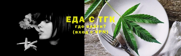 тгк Бородино