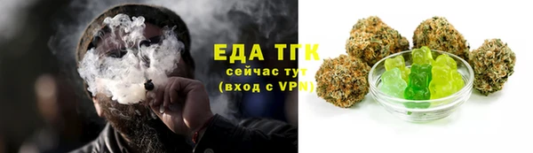 тгк Бородино