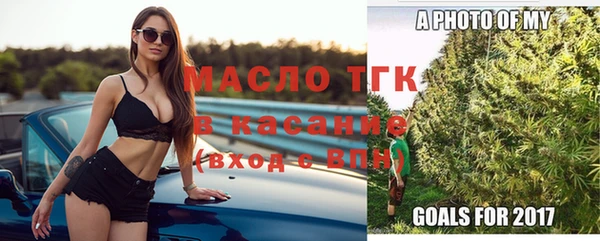 тгк Бородино