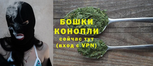 тгк Бородино